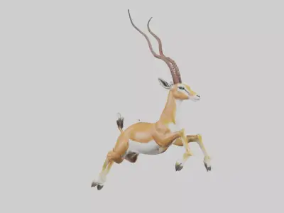 Springbok hopping model 3D model