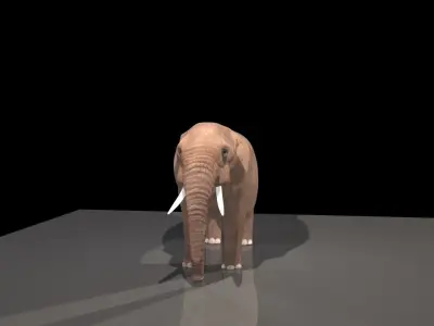 Elephant Free 3D model