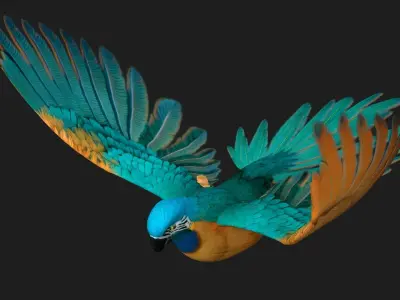 Parrot A1 3D model