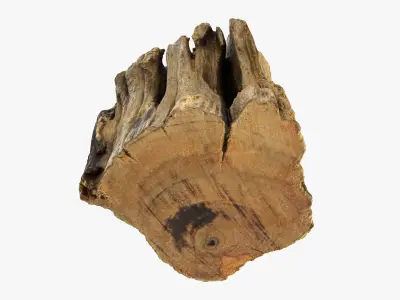 Tree Trunk Piece 14 3D model