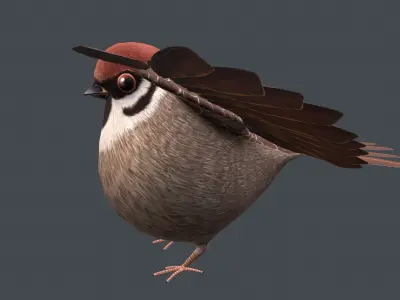 Sparrow bird Low-poly 3D model