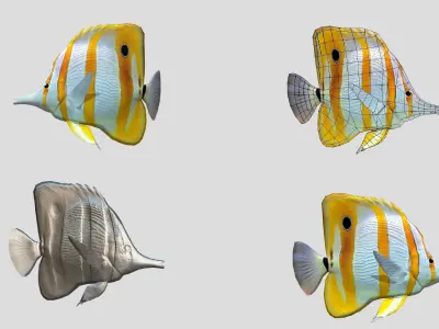 Fish Collection Animated - Game Ready Pack 2 Low-poly 3D model