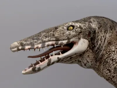 Carnufex carolinensis Low-poly 3D model