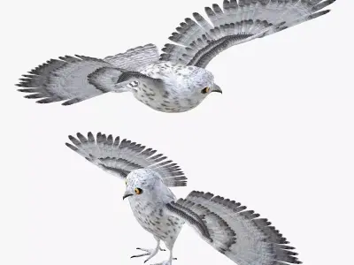 Owl bird rigged 3d model Low-poly 3D model