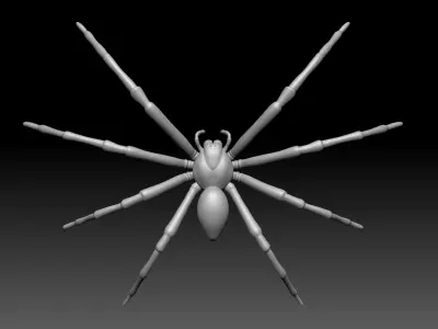 Hunstman Spider Low-poly 3D model