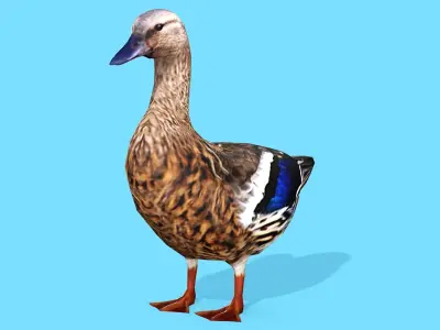 BROWN DUCK RIGGED ANIMAED 3 Low-poly 3D model