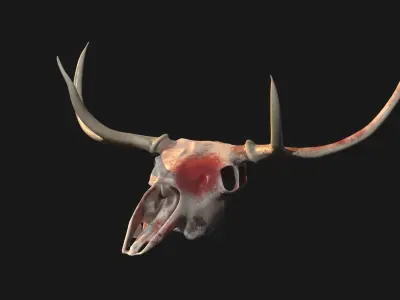 Deer Skull - Bloody Low-poly 3D model