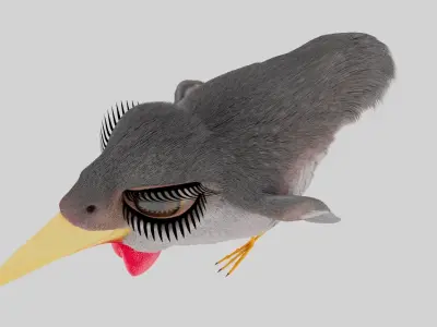 Bird Pheasant Low-poly 3D model