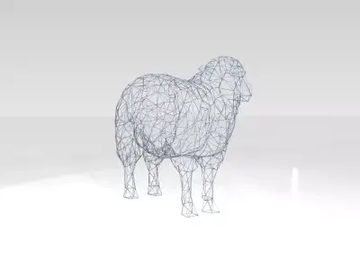 Sheep Wireframe 3D model
