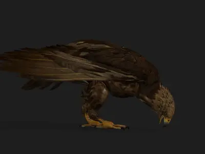 Eagle V3E 3D model