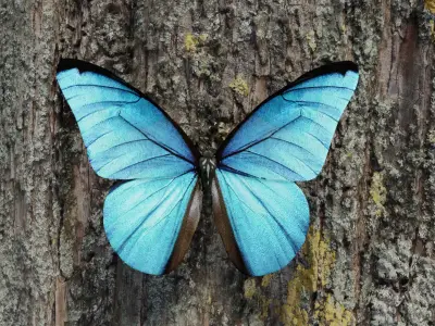 Blue Morpho Butterfly Low-poly 3D model