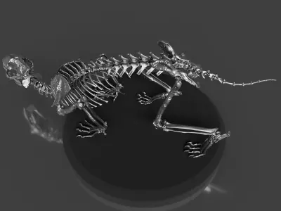 Silver Sabretooth Skeleton 3D model