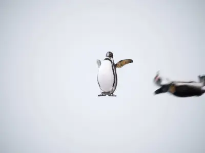 Happy Penguins - Animated 3D model