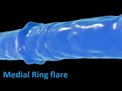 Horse cock tentacle - slime Low-poly 3D model