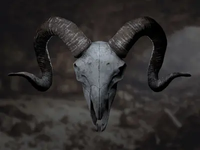 Goat Skull 3D model