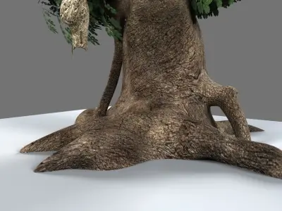 Baya Weaver Nest 3D model