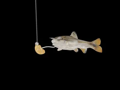 RedTail Chub 3D model