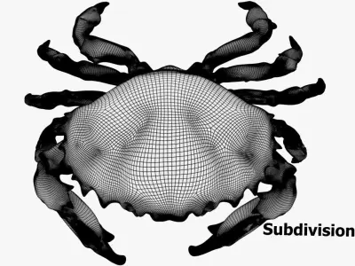 Crab PBR Low-poly 3D model