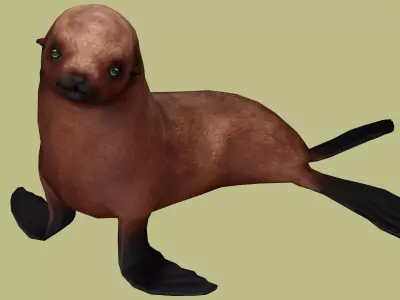 SEAL RIGGED ANIMATED 3 Low-poly 3D model