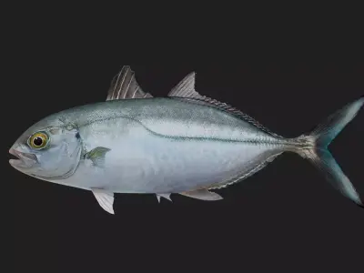 Runner Low-poly 3D model