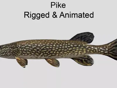 Pike Realistic Animated Low-poly 3D model
