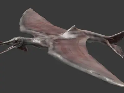 Terafin - prehistoric flying creature Low-poly 3D model