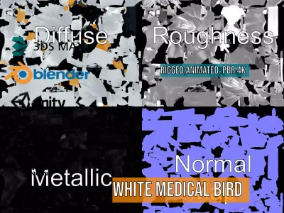 White Medical Bird Doctor model pack Low-poly 3D model