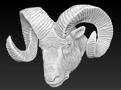 ram horned head 3D model