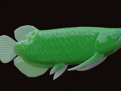 Arrowana Model for 3d printing Free 3D print model