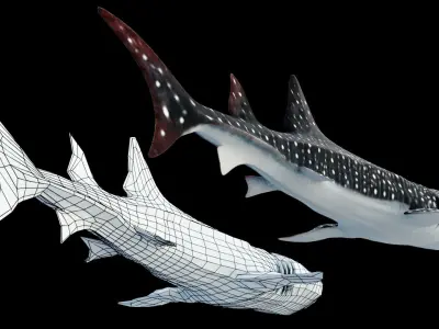 Animated Whale Shark Low-poly 3D model
