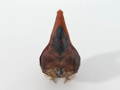 Chicken rooster Low-poly 3D model