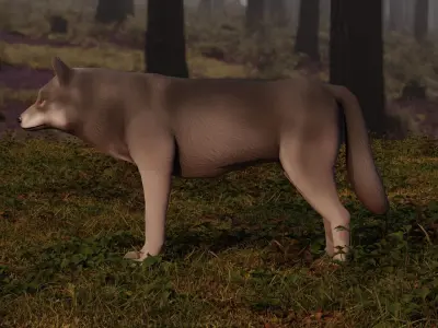 Wolf LowPoly Low-poly 3D model