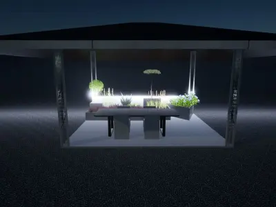Canopy 3D model 2
