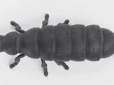 -Snow Flea- 3D model