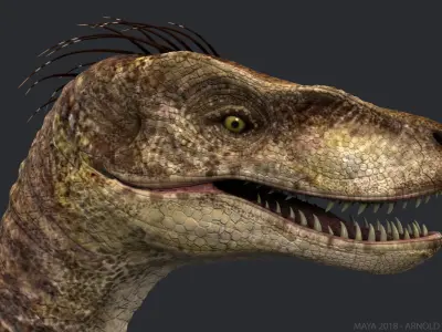 Velociraptor 2 RIGGED 3D model