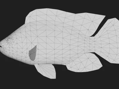 Cichlid Low-poly 3D model
