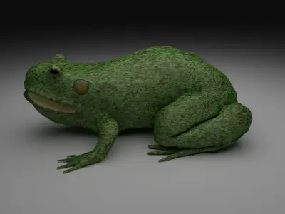 Rough Green frog - Cartoon Style Free low-poly 3D model