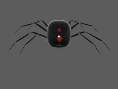 Spider Black Widow 3D model