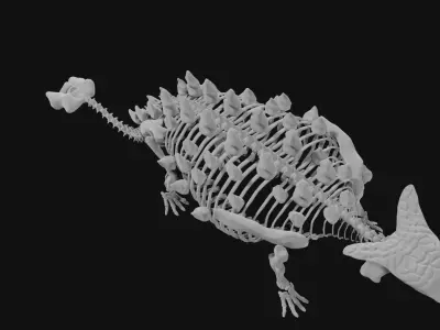 Ankylosaurus skeleton 3D model