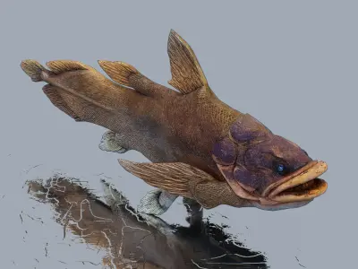 Giant arapaima Low-poly 3D model