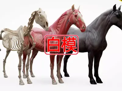 The horse 3D model