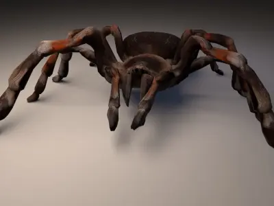 PBR Tarantula rigged and animated Low-poly 3D model