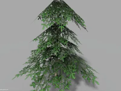 low poly small spruce Low-poly 3D model