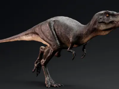 Dinosaur Juvenile Tyrannosaurus Rex  Unreal Engine Project Low-poly 3D model