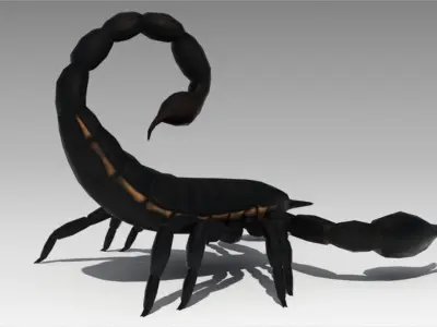 Black Scorpion Low-poly 3D model