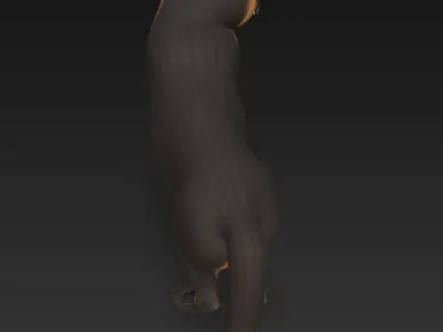 Cat Realistic 3D Model - Low Poly Realistic  Low-poly 3D model