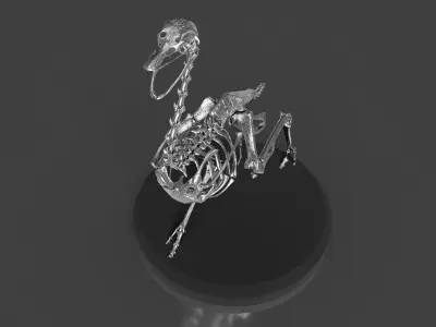 Silver Ostrich Skeleton for Visual Art 3D model