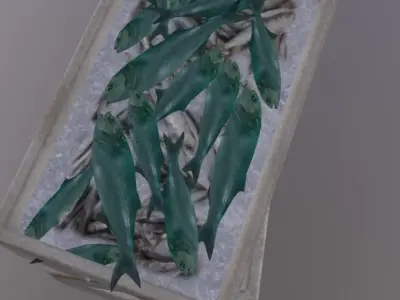 Polystyrene box with fish 02 Low-poly 3D model