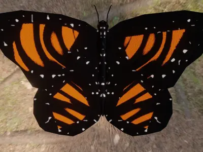 Procedural Butterfly Rigged Free low-poly 3D model