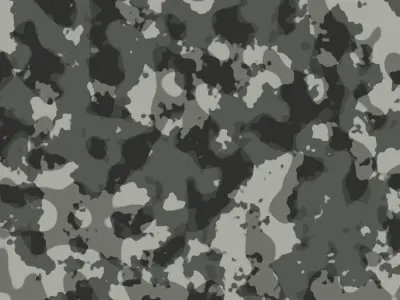 Camouflage Pack Texture